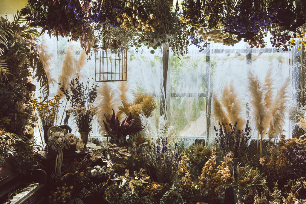 日光居家棚,自助婚紗棚,Cosplay棚,攝影棚